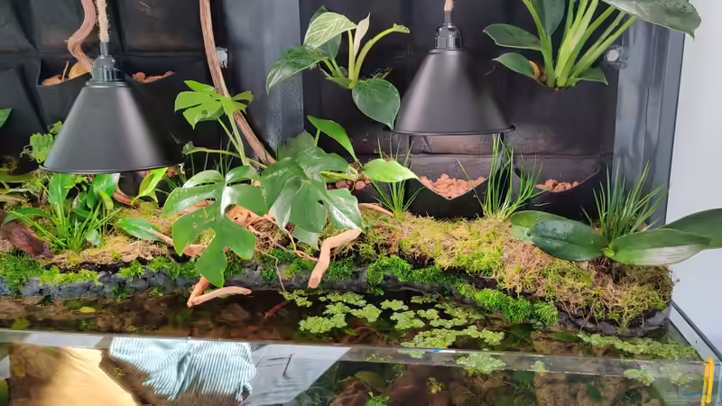 Rechte Seite Aufbau von xpate (14)