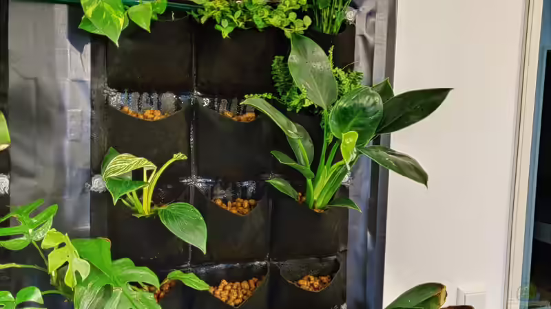 Rechte Seite Aufbau von xpate (9)