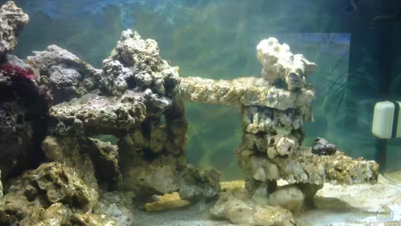 rechte Seite des Aufbaus von Jane Vogeler (19)