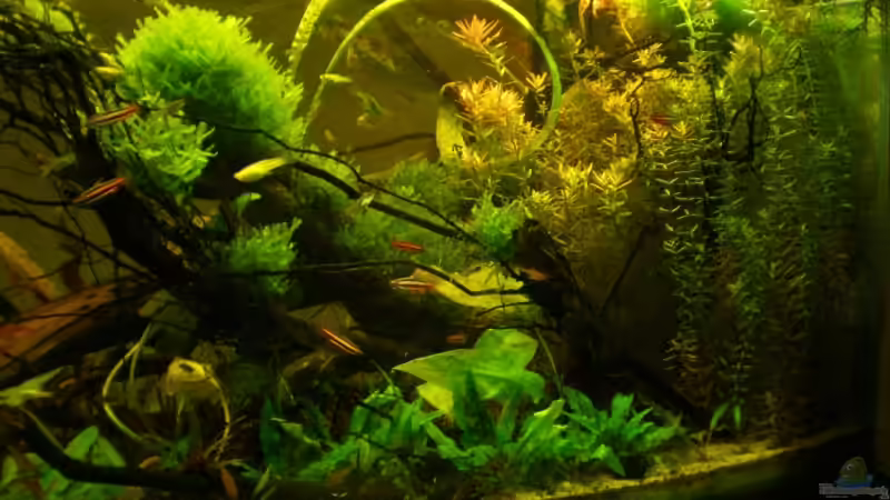 rechte seite des beckens 16.11.2008 von hp (3)