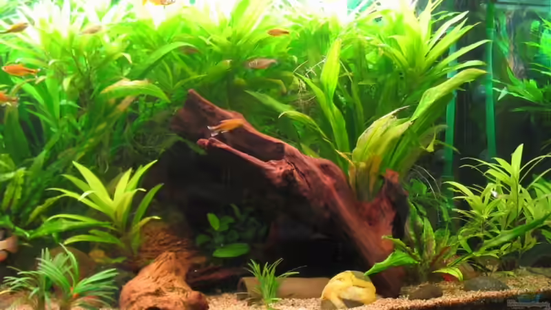 Rechte seite des Beckens mit Mineralgestein von Sascha Suehrig (3)