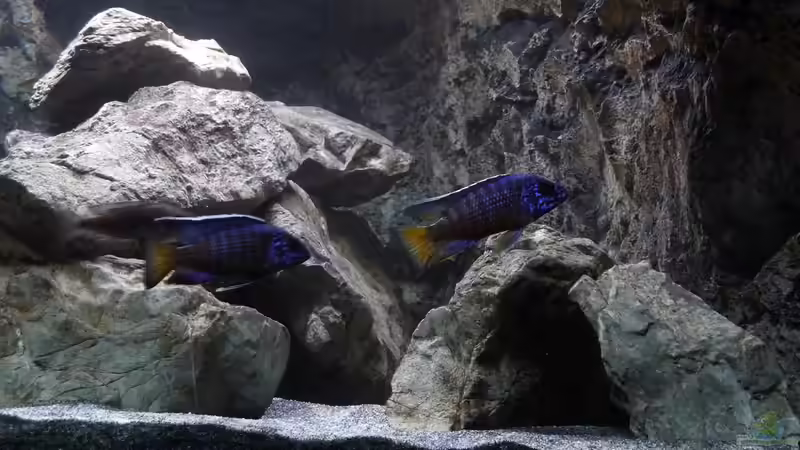 rechte Seite des Beckens von DER YBBSTALER (5)