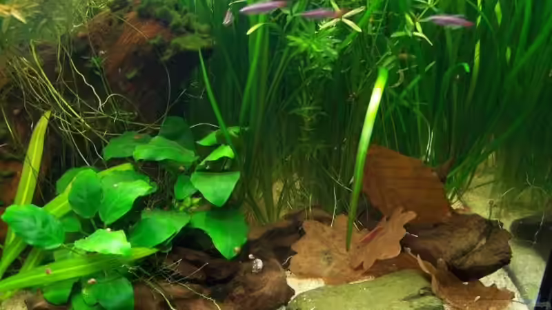 Rechte Seite des Beckens von Erik Dreßen (3)