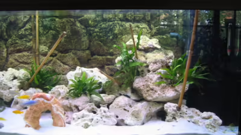 Rechte Seite des Beckens von Michael Friel (3)