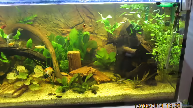 rechte Seite des Beckens von Ottche (49)