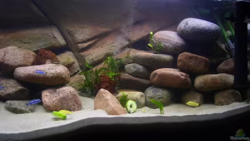 Rechte Seite des Beckens von Torsten Krohn (2)