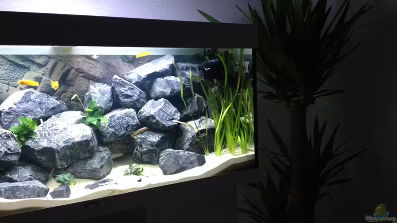 rechte Seite des Beckens von Vin (3)