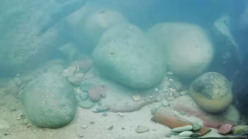 Rechte Seite Details 17.02.2019 von - Stephen - (16)