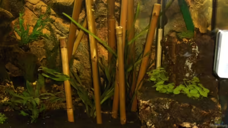 rechte Seite direkt nach dem Einrichten Februar 2008 von Marcus Blum (2)