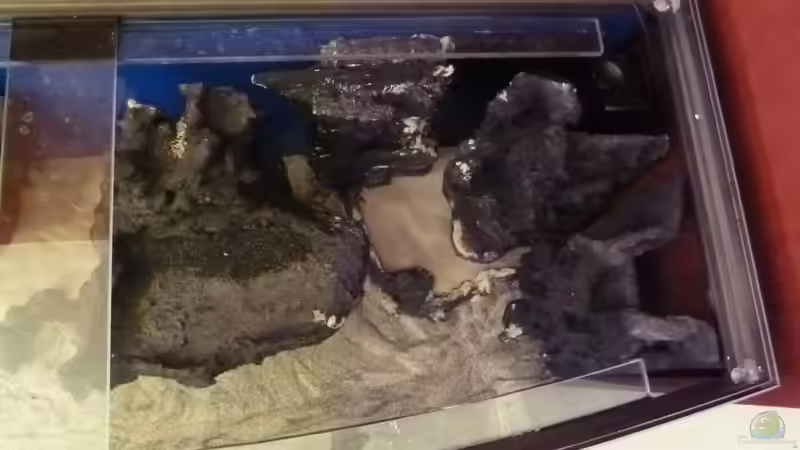 rechte Seite eingeräumt von Couro (32)