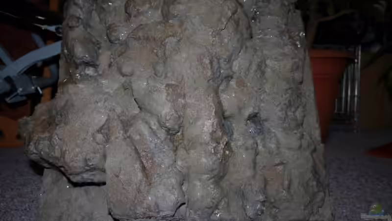 Rechte Seite feritg gestellt von Volker Alms (6)