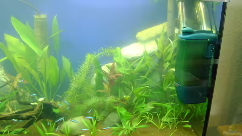 rechte Seite Innen- und Aussenfilter von Franz Wüest (19)