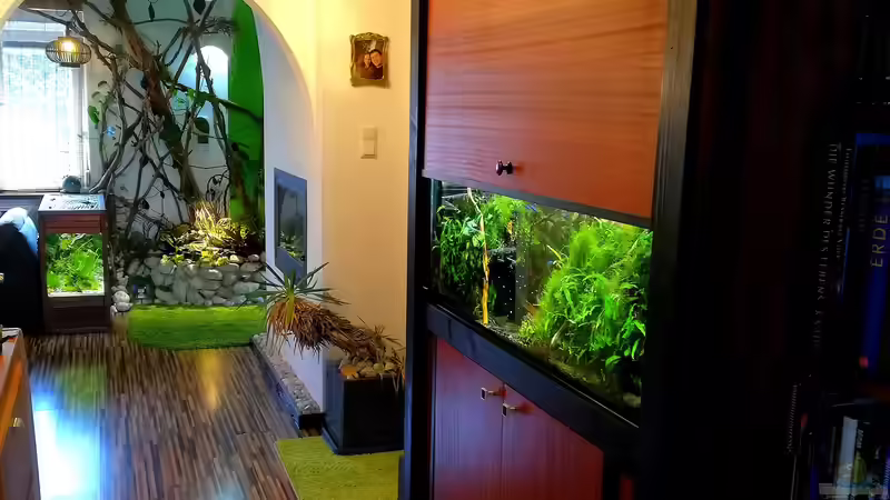 Rechte Seite mit Blick in Richtung Kugelfisch Oase von Bermuda 3eck (20)