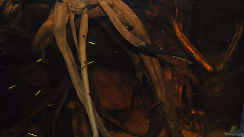 Rechte Seite mit Blitz von Alex S (17)