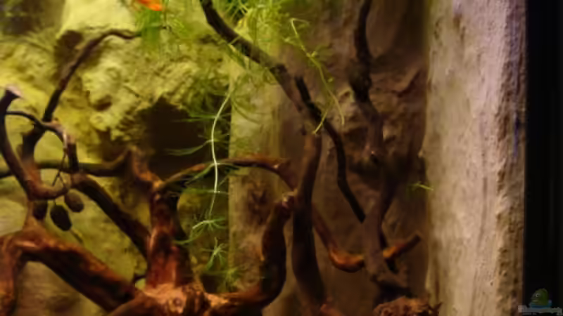 Rechte Seite mit eingebautem Filter von manzanarez (3)