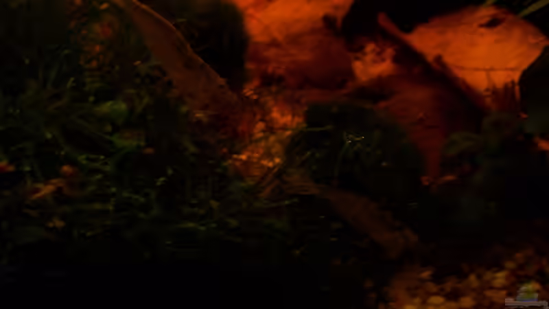 rechte Seite mit Putzkolonne von Jens J. (28)