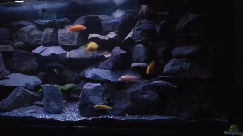 Rechte Seite mit Schattenzone von Wasserfest ;-) (6)