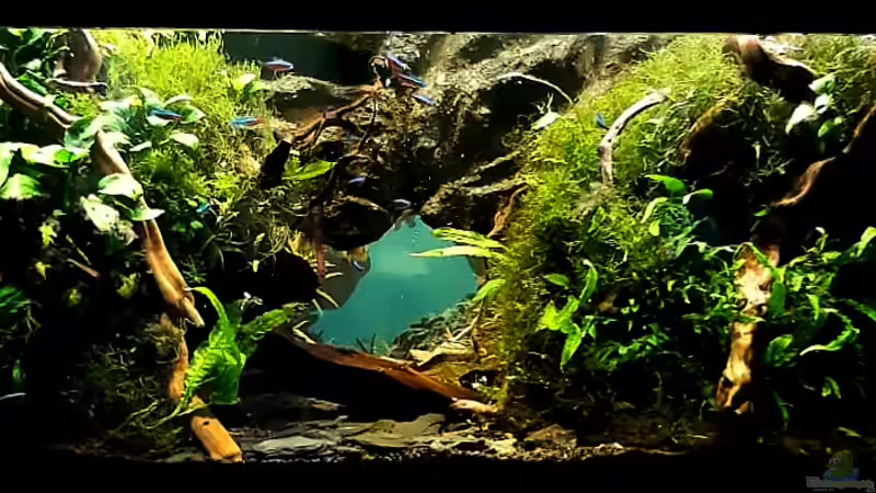 Rechte Seite neu gestaltet von Bermuda 3eck (4)