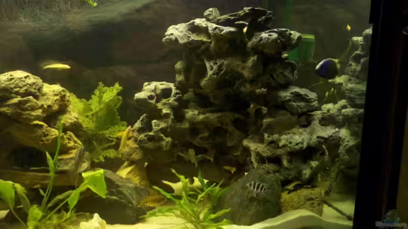 rechte Seite Plastik- Felsbrocken von Monika Thiele (19)