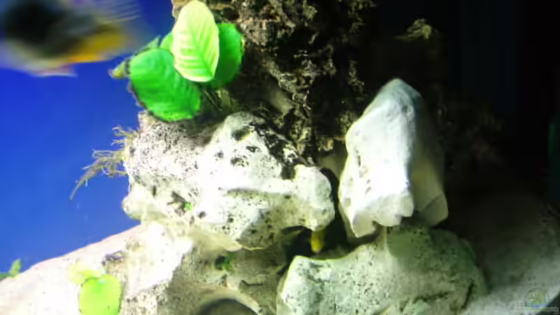 rechte seite steinaufbau von chrismalawifan (15)