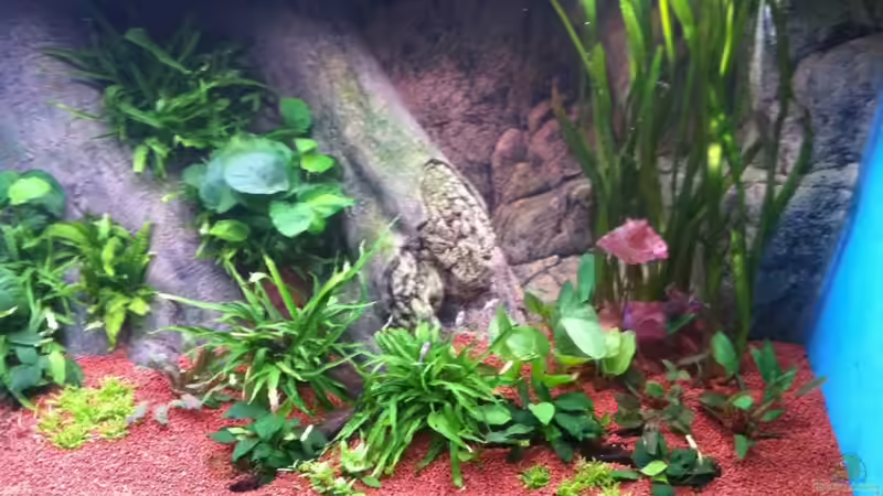 Rechte Seite Tag 0 von Benjamin Daum (6)