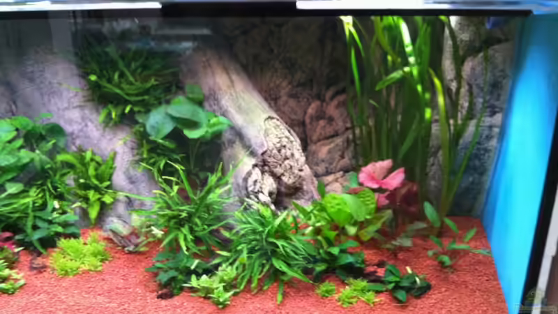 Rechte Seite Tag 7 von Benjamin Daum (9)