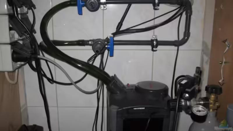 Rechte Seite unterm Becken von JoSchi (8)