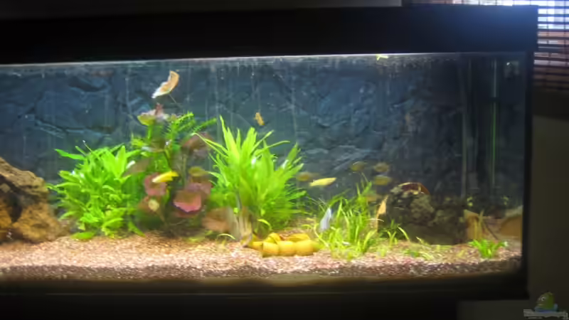 rechte seite vom becken von Andreas Kurz (3)