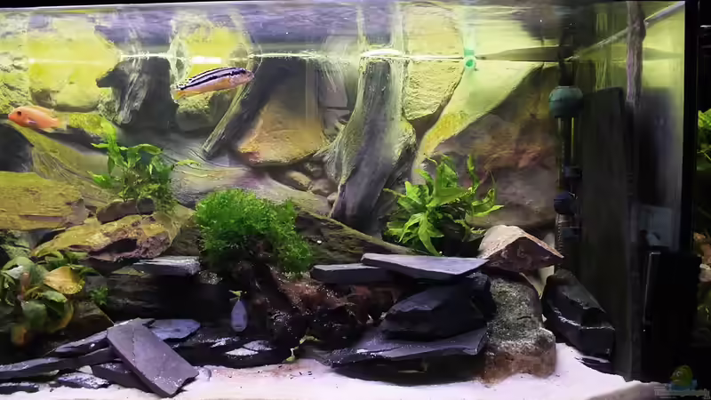 Rechte Seite vom Becken von Stony (6)