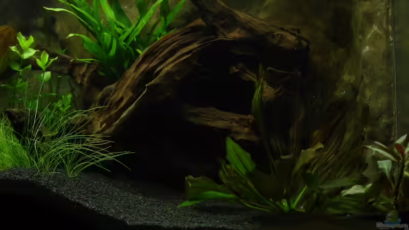 rechte Seite von Alfur (6)