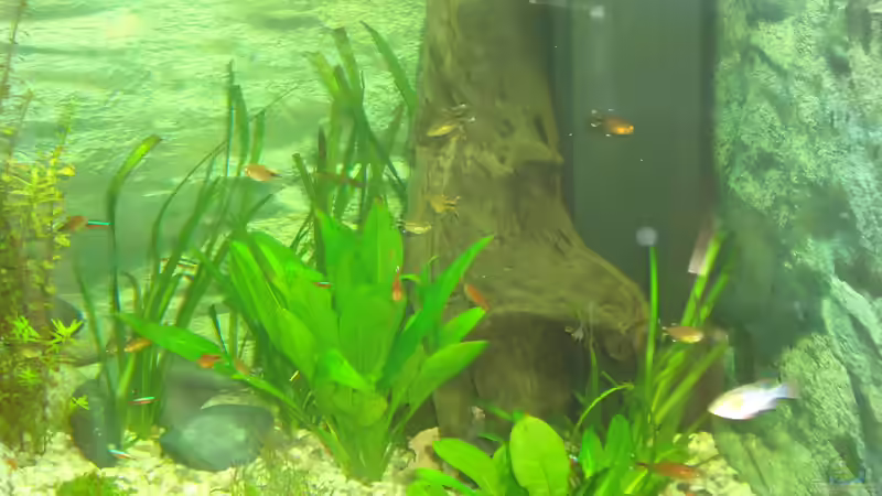 rechte Seite von atom010 (47)