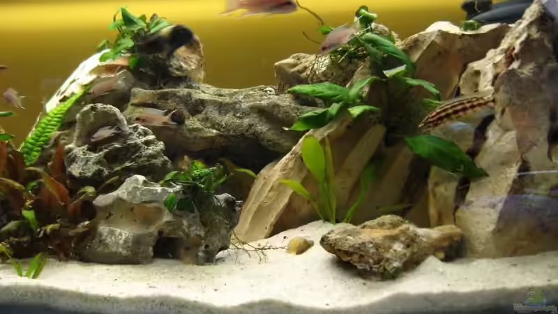 rechte Seite von Bene92 (2)