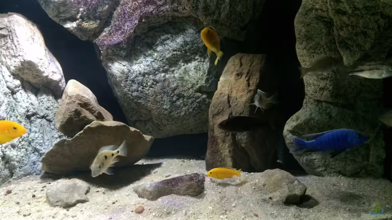 rechte Seite von Branjo (3)