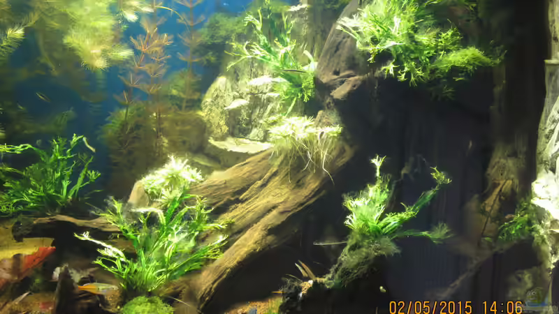 rechte Seite von Christian Grunwald (3)