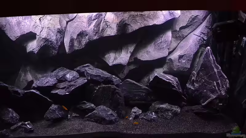 Rechte Seite von DaKo77 (4)