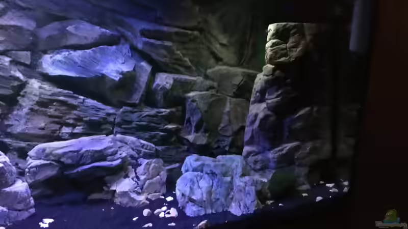 Rechte Seite von Daniel H. (18)