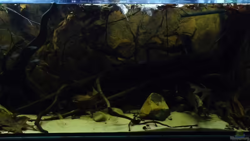 Rechte Seite von DerImperator (3)