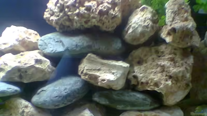 Rechte Seite von Dirk Giebken (4)