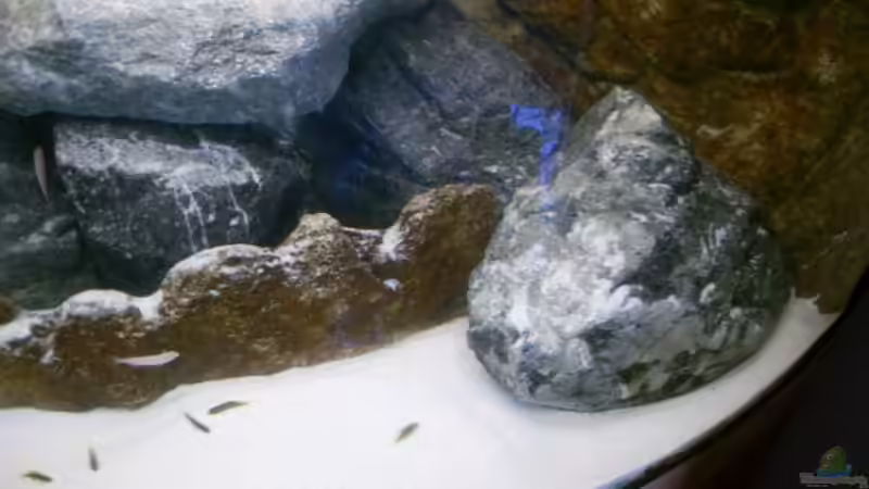 Rechte Seite von Dr. Manhattan (3)