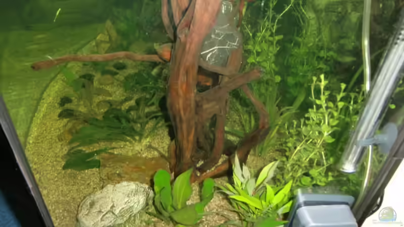 rechte seite von EcoSyS (12)