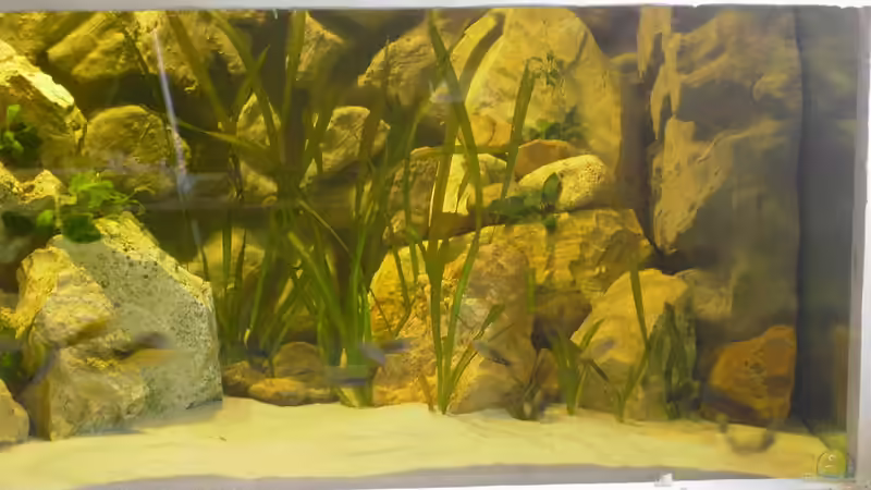 rechte Seite von Enrico Pinkert (3)