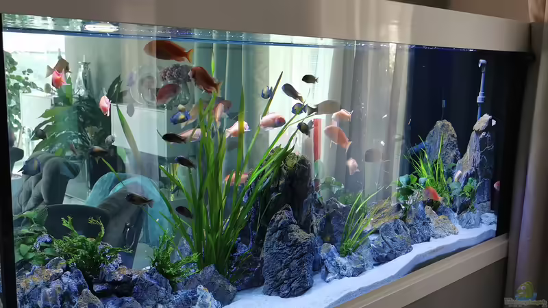 Rechte Seite von Ezi13 (5)