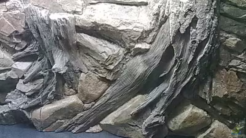 rechte seite von Falk Bellmann (26)