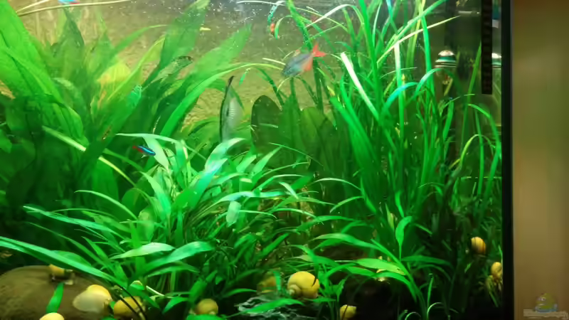 Rechte Seite von Felix_2310 (3)