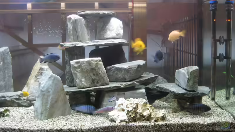 rechte Seite von Friedrich (3)