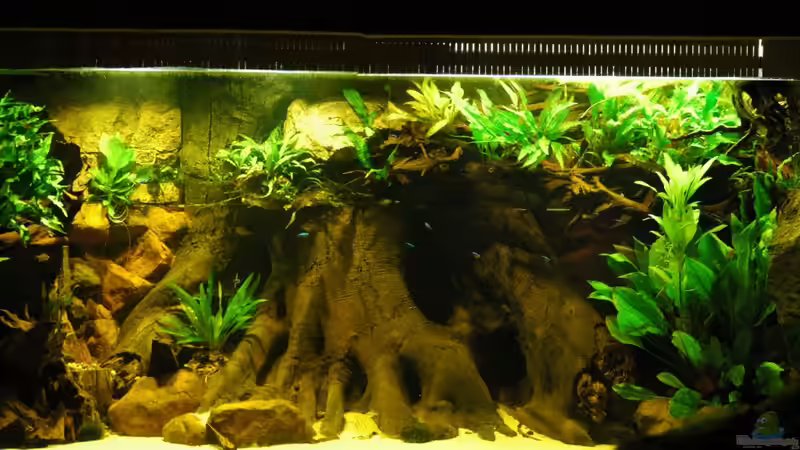 rechte Seite von Horst Sander (5)