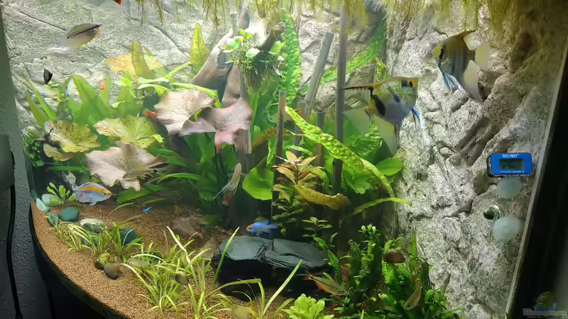 Rechte Seite von Ickebins (3)