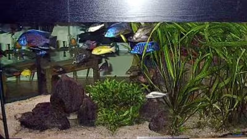 rechte Seite von Ingo Bertelmann (4)