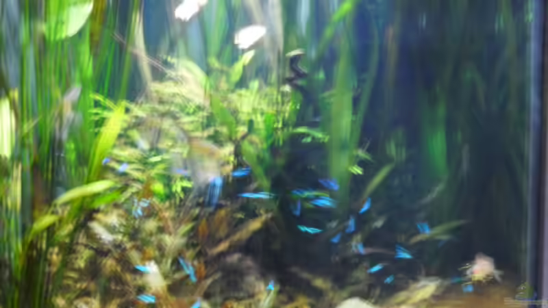 rechte Seite von Jan Hüsemann (4)