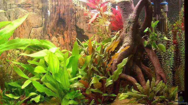 Rechte Seite von Jan Kersten (4)